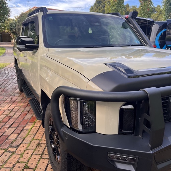 Posh Wash detailing result